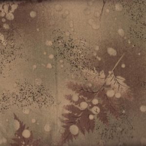 11695 Daiwabo Brown