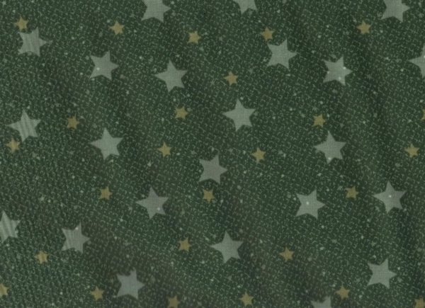 1929-03 Starry Night Lynette Anderson