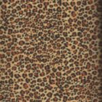 1539-Safari-leopard